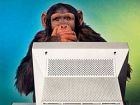 Internet ci rende più stupidi?